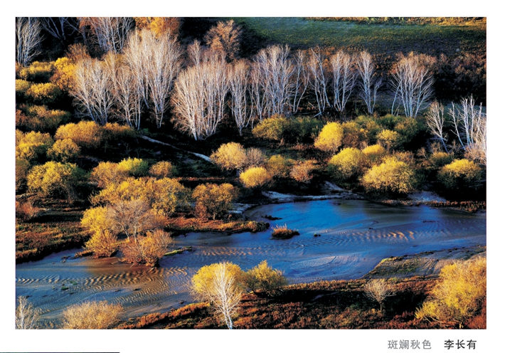 �����ɫ�������