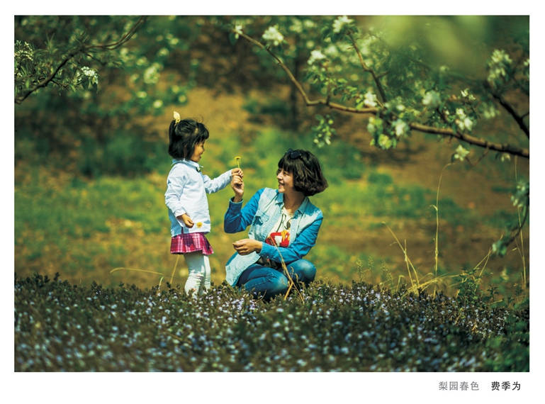 ��԰��ɫ�����Ѽ�Ϊ