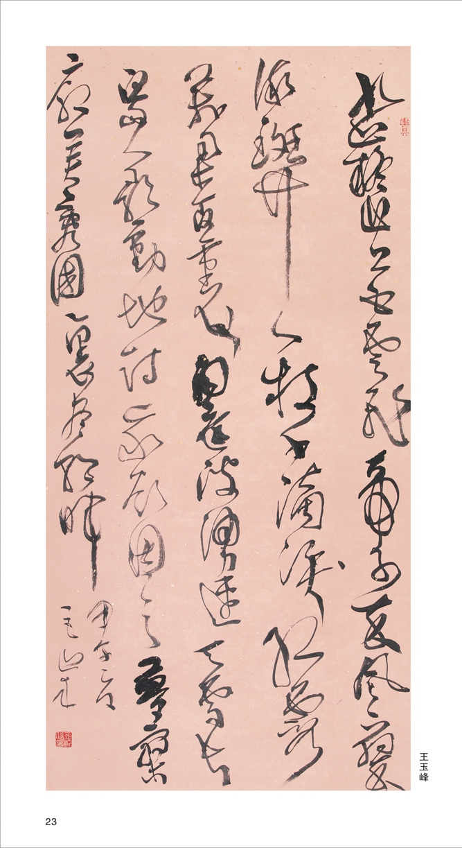 �������Ʒ